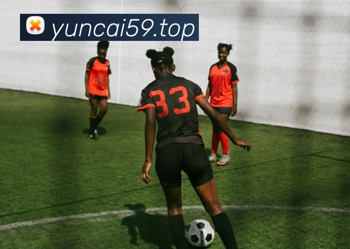 彩客吧服务体系